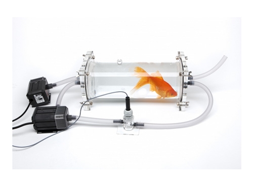 魚類及水生無脊椎動物呼吸代謝測量系統(tǒng)