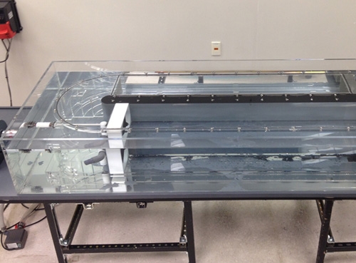 魚類與水生生物游泳能力、呼吸代謝測量儀