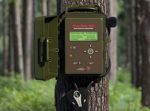 聲音記錄儀鳥類動物鳴聲自動記錄儀Song Meter SM4