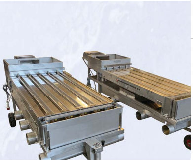 魚類分級機(jī)