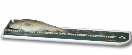 魚(yú)類(lèi)生物學(xué)電子測(cè)量系統(tǒng)